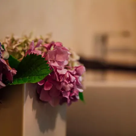 Casa Amici Del Bosco ベッド・アンド・ブレックファスト Medolago