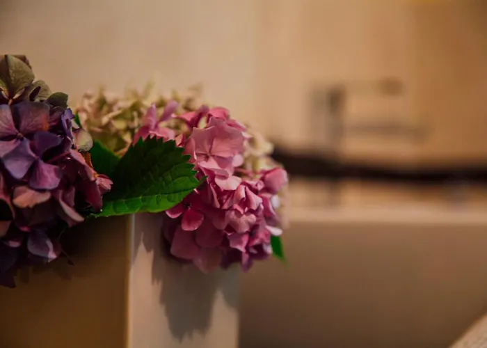 Casa Amici Del Bosco Bed & Breakfast Medolago
